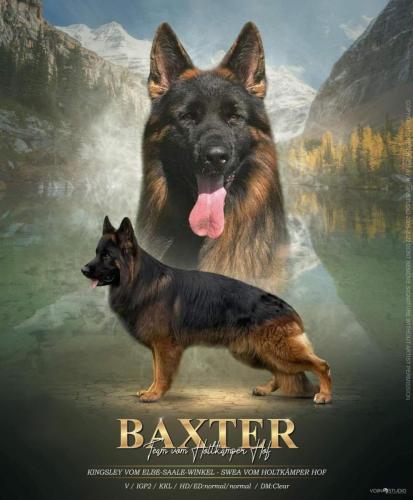 Baxter Team vom Holtkämper Hof