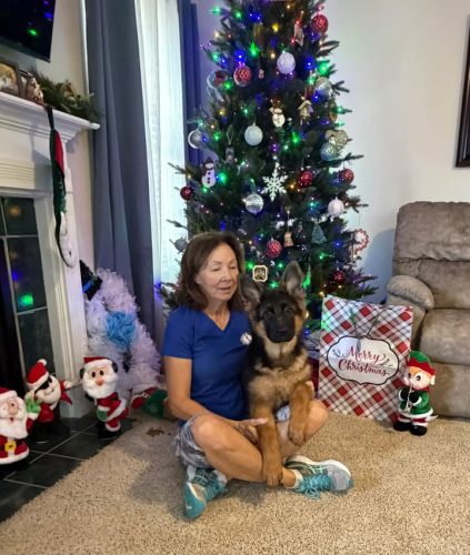 C Litter Female Orange